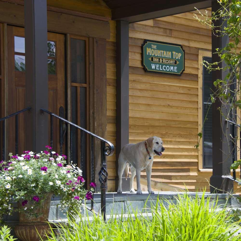 The Mountain Top Inn & Resort Chittenden 便利设施 照片